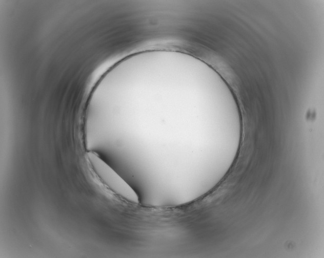 X0000091070960200709041217