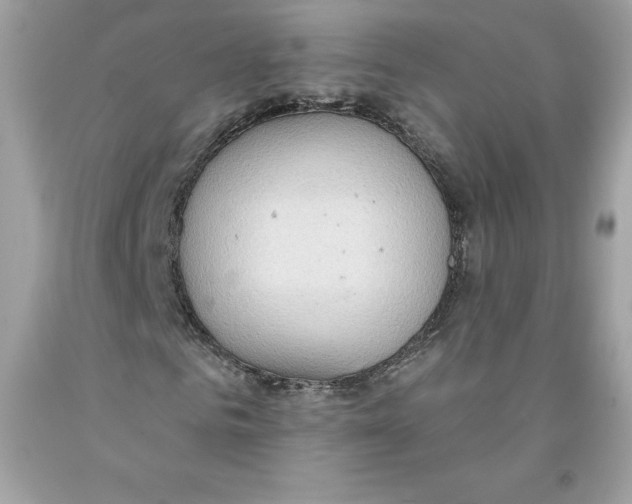 X0000091070961200709041216