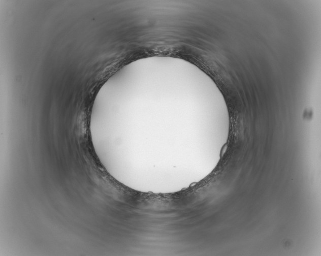 X0000091070962200709041216