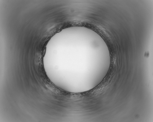 X0000091070964200709041216