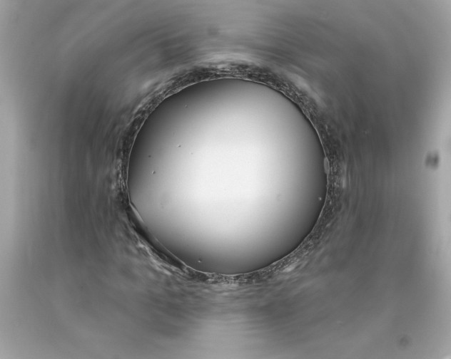 X0000091070965200709041216