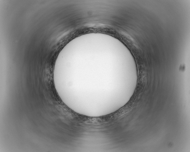 X0000091070966200709041216