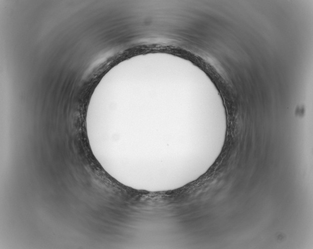 X0000091070967200709041216