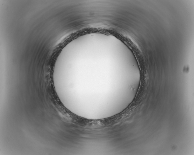 X0000091070968200709041216