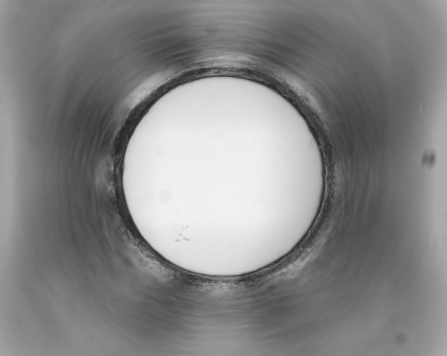 X0000091070970200709041216