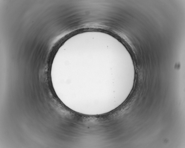 X0000091070971200709041216