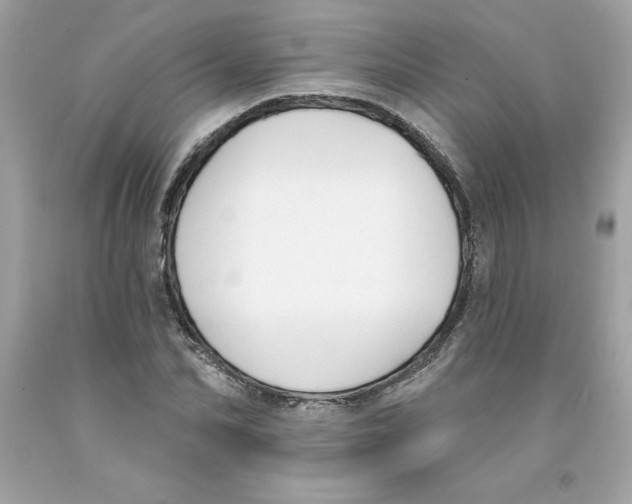 X0000091070974200709041216