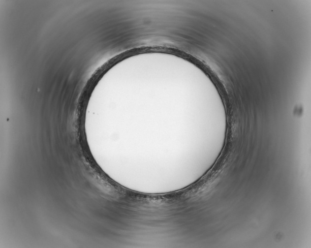 X0000091070975200709041216
