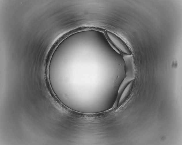 X0000091070976200709041216