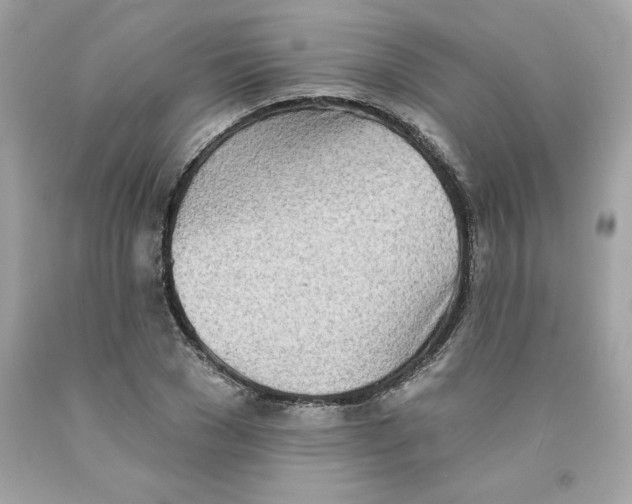 X0000091070977200709041216