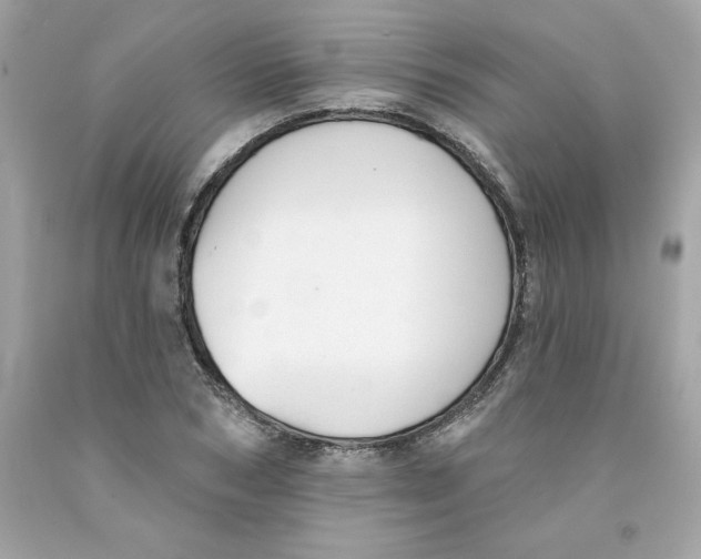X0000091070978200709041216