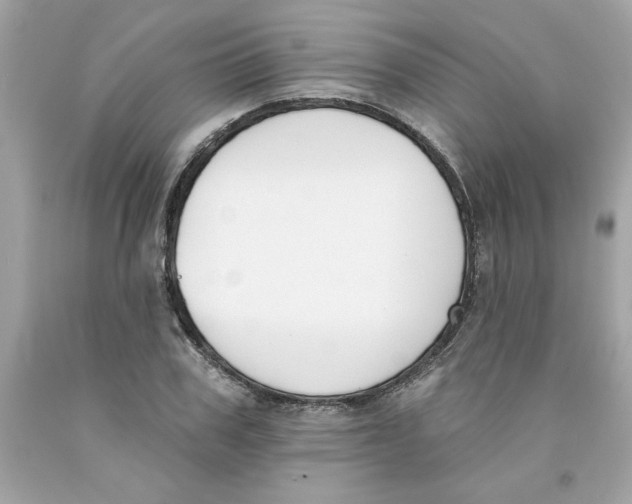 X0000091070979200709041216