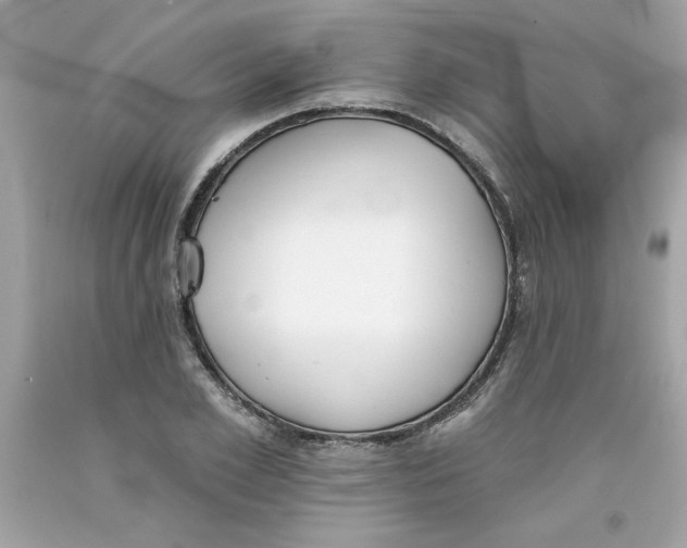 X0000091070981200709041216