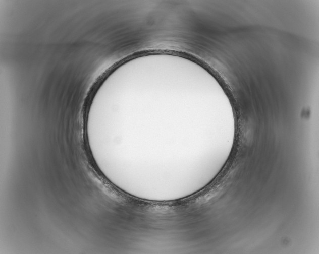 X0000091070982200709041216