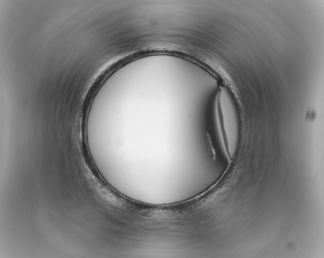 X0000091070984200709041216