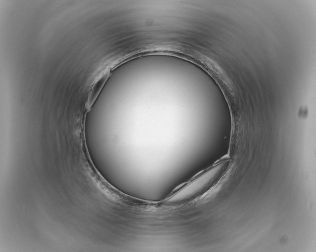X0000091070985200709041216