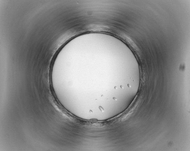 X0000091070986200709041216