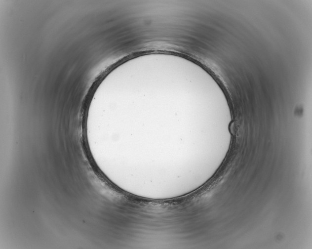 X0000091070987200709041216