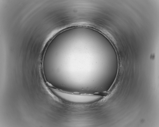 X0000091070989200709041216