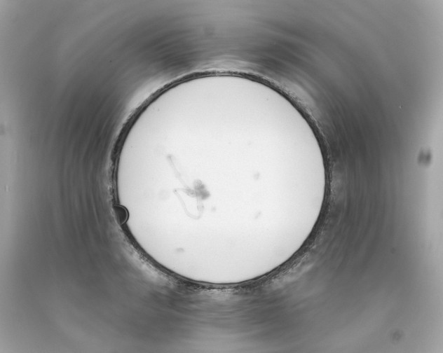 X0000091070990200709041216