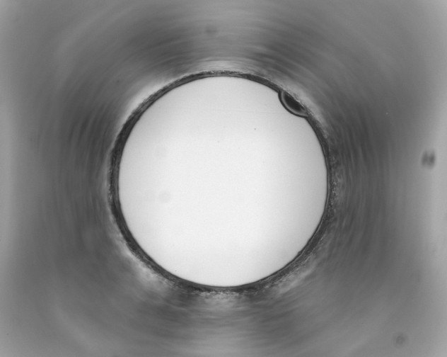 X0000091070991200709041216