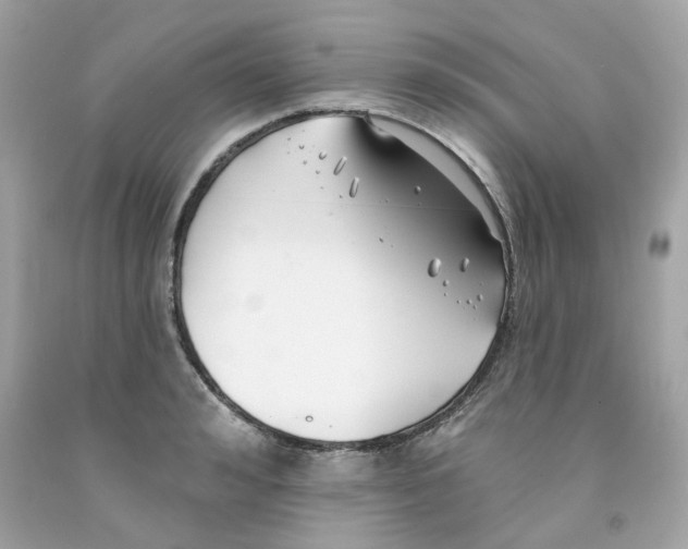 X0000091070992200709041216