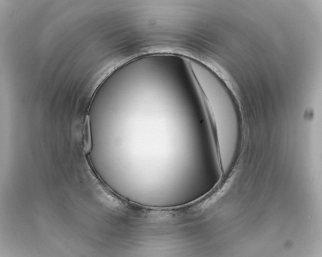 X0000091070993200709041216