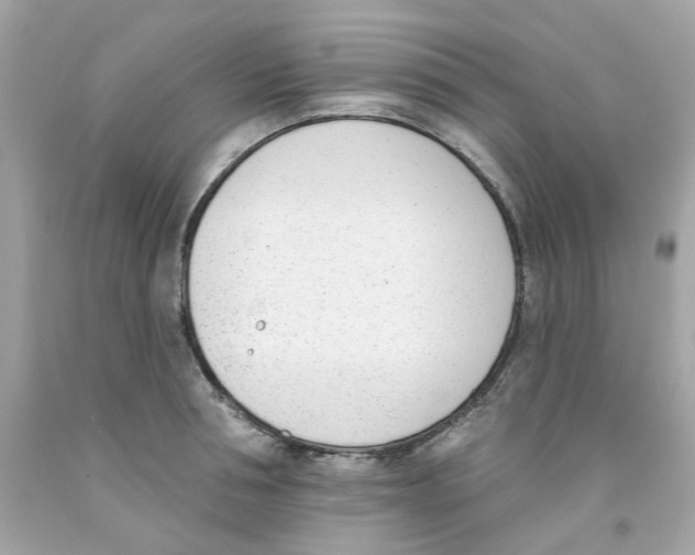 X0000091070994200709041216