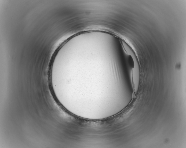 X0000091070995200709041216