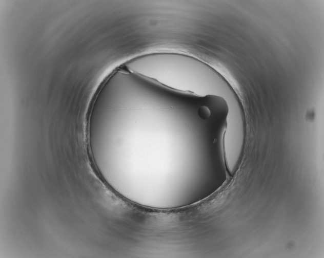 X0000091070996200709041216