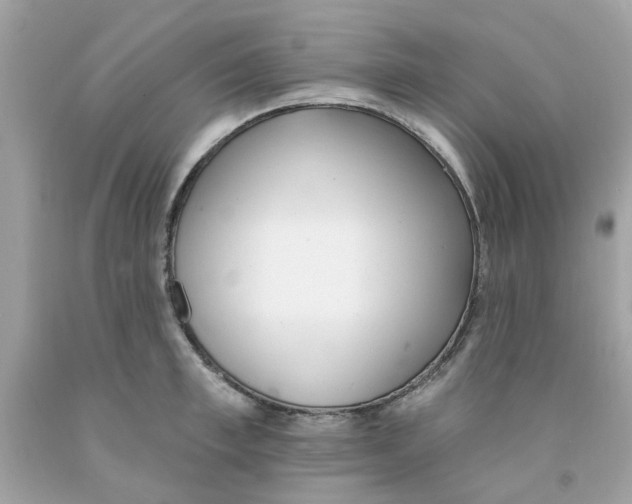 X0000091070997200709041216