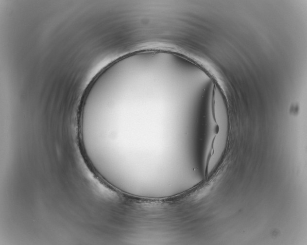 X0000091070999200709041216
