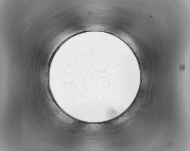 X0000091071000200709041216