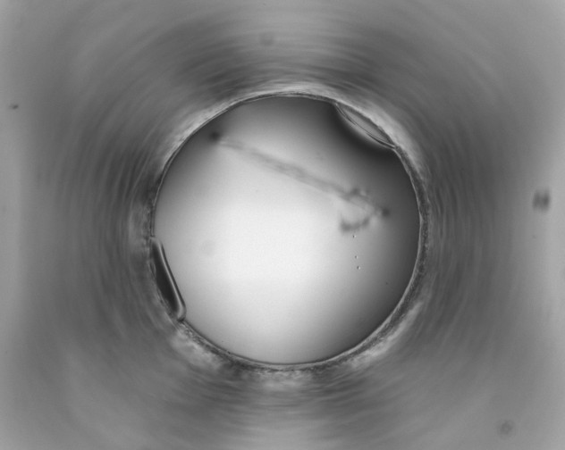 X0000091071001200709041216