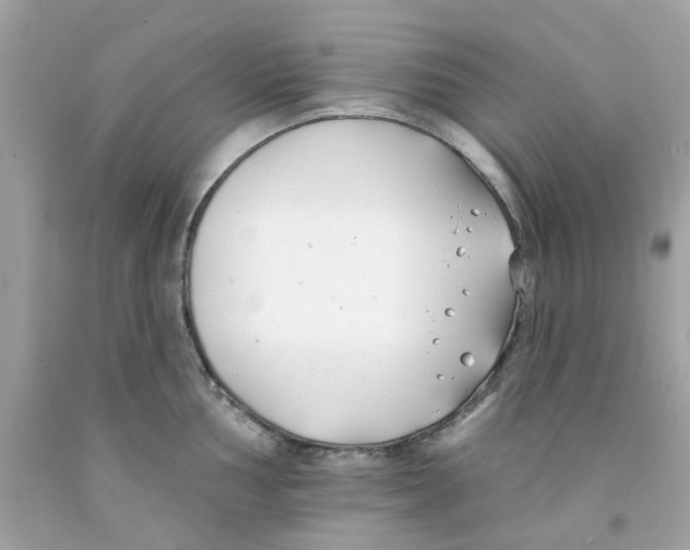 X0000091071002200709041216