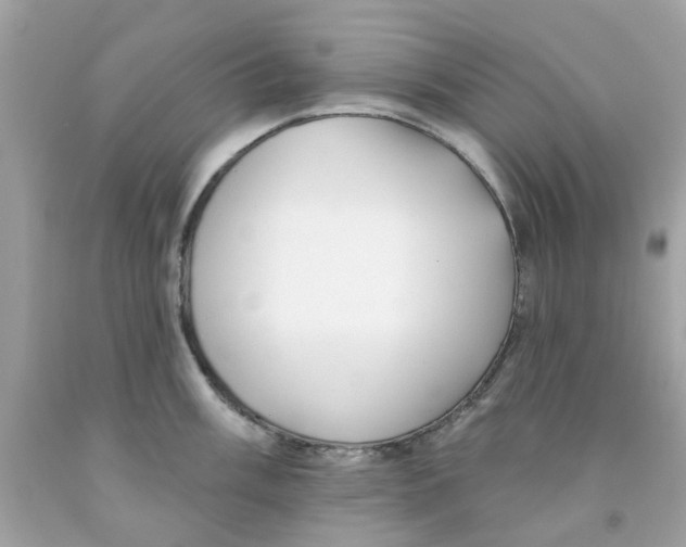 X0000091071003200709041216