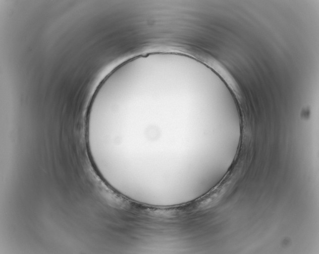 X0000091071004200709041215