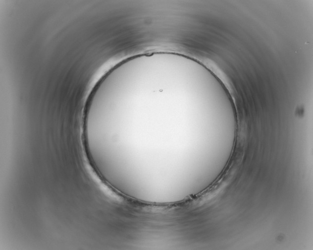 X0000091071005200709041215