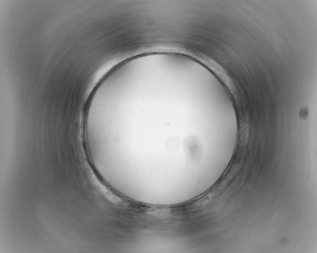 X0000091071006200709041215