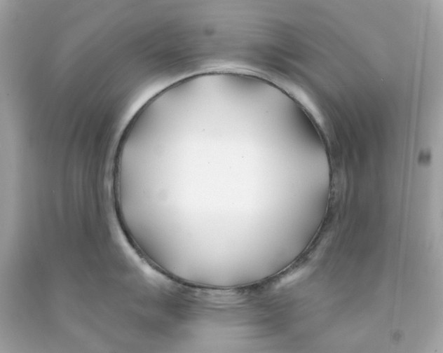 X0000091071007200709041215