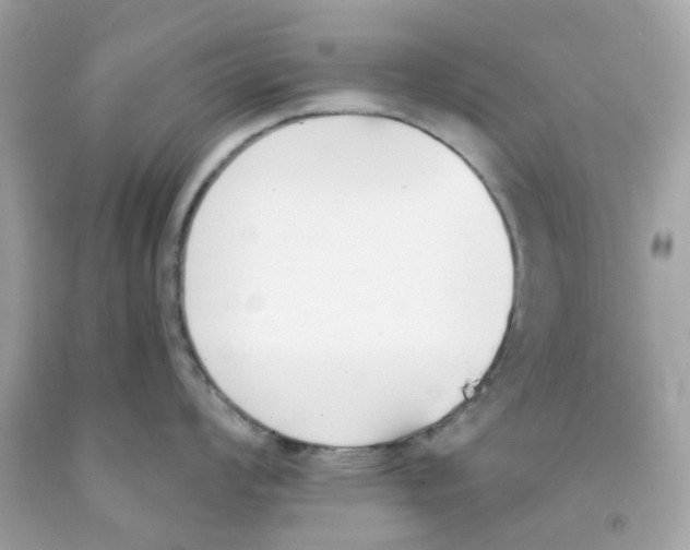 X0000091071008200709041215