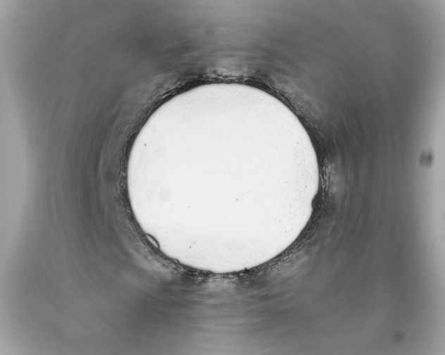 X0000091071009200709041215