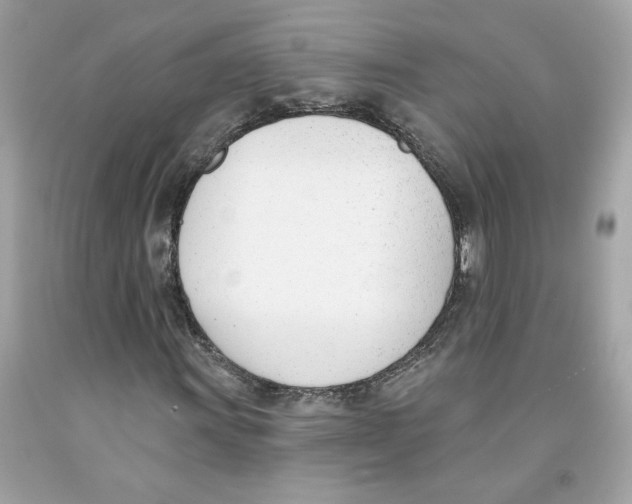 X0000091071011200709041215