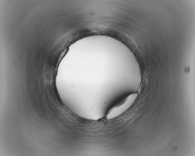 X0000091071012200709041215