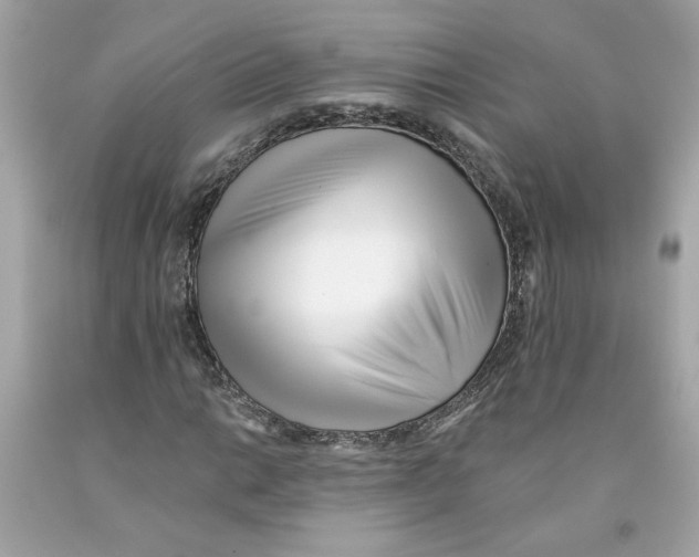 X0000091071014200709041215