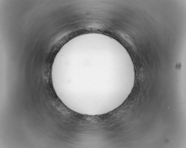 X0000091071015200709041215