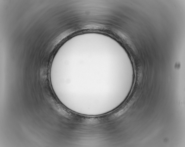 X0000091071017200709041215
