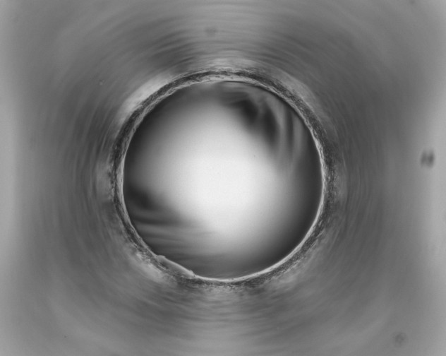 X0000091071018200709041215