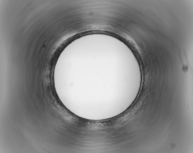 X0000091071019200709041215