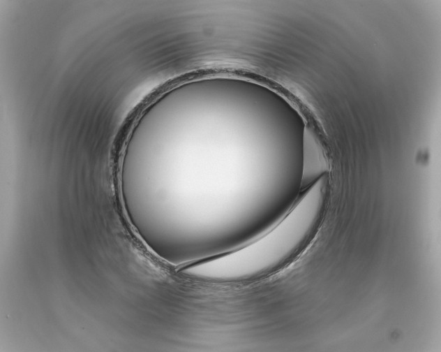 X0000091071022200709041215